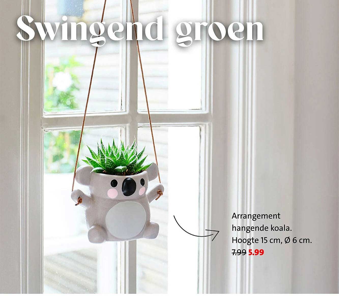 Arrangement hangende koala