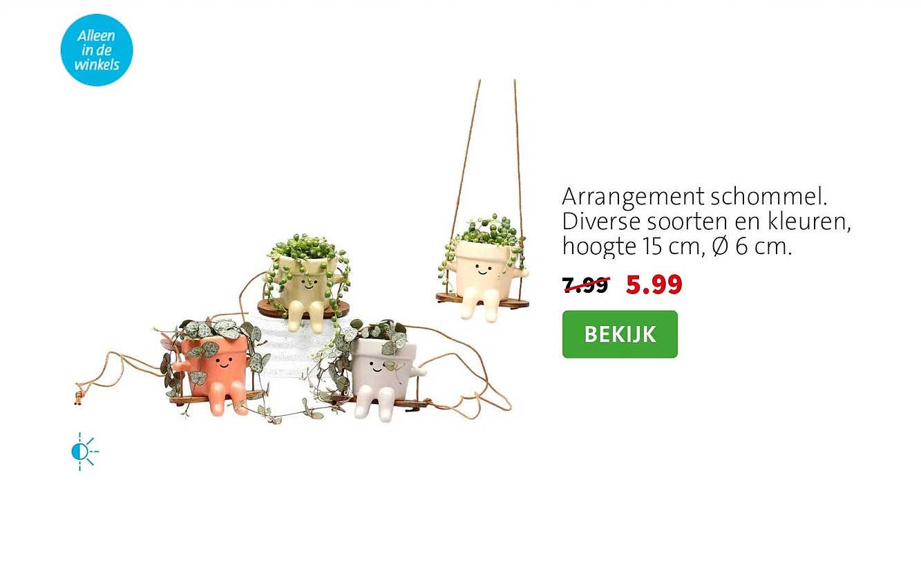 Arrangement schommel. Diverse soorten en kleuren, hoogte 15 cm, Ø 6 cm.