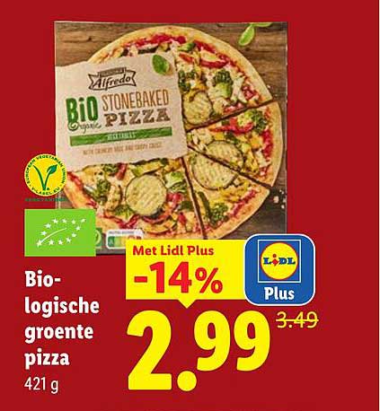 Bio-logische groente pizza