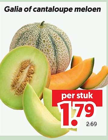 Galia of cantaloupe meloen