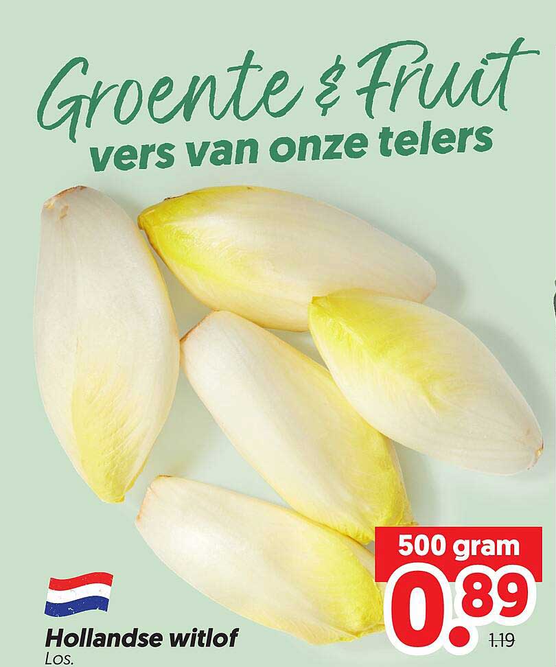 Hollandse witlof Los. 500 gram
