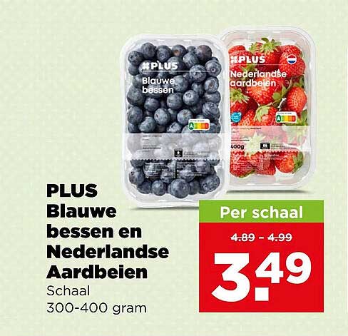PLUS Blauwe bessen en Nederlandse Aardbeien Schaal 300-400 gram