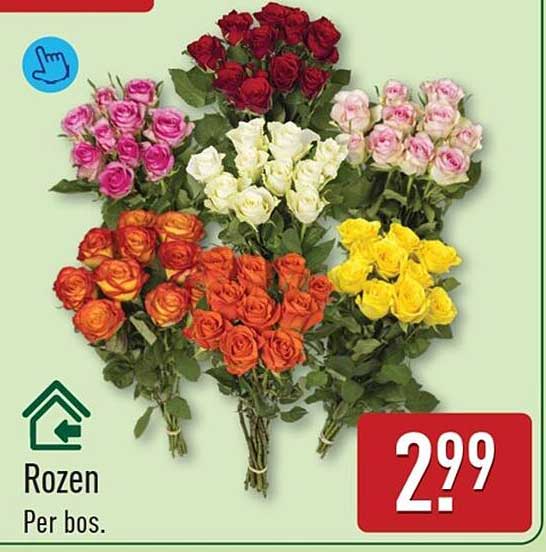 Rozen Per bos.
