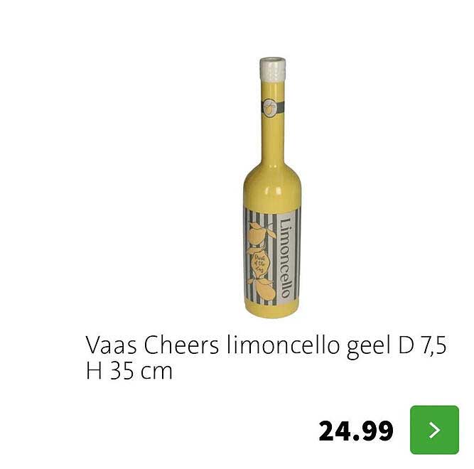 Vaas Cheers limoncello geel D 7,5 H 35 cm
