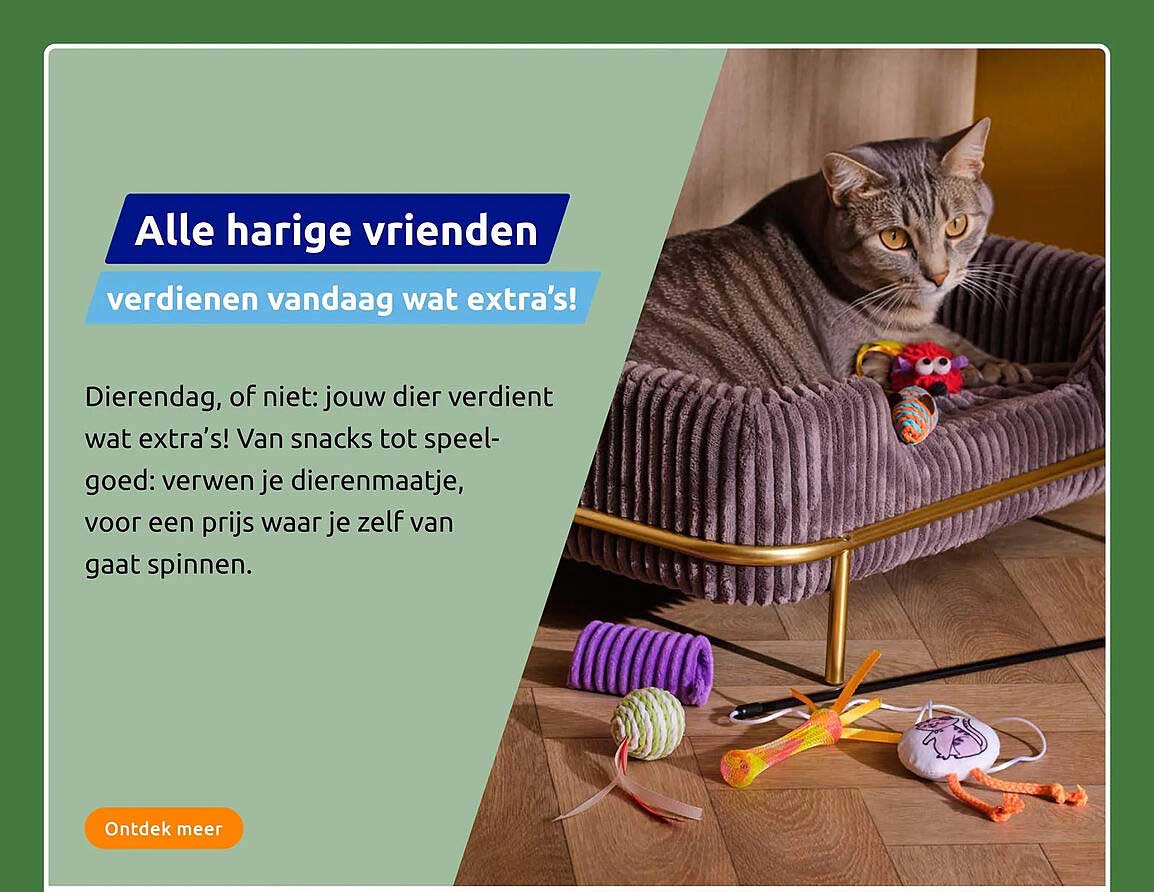 Alle harige vrienden verdienen vandaag wat extra's!