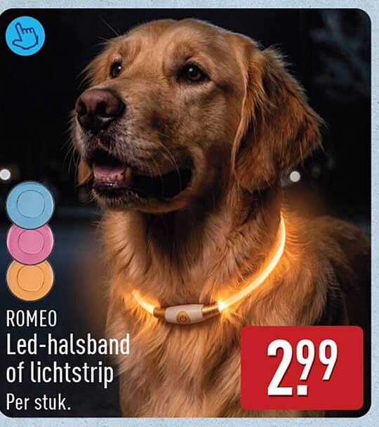 ROMEO Led-halsband of lichtstrip Per stuk.