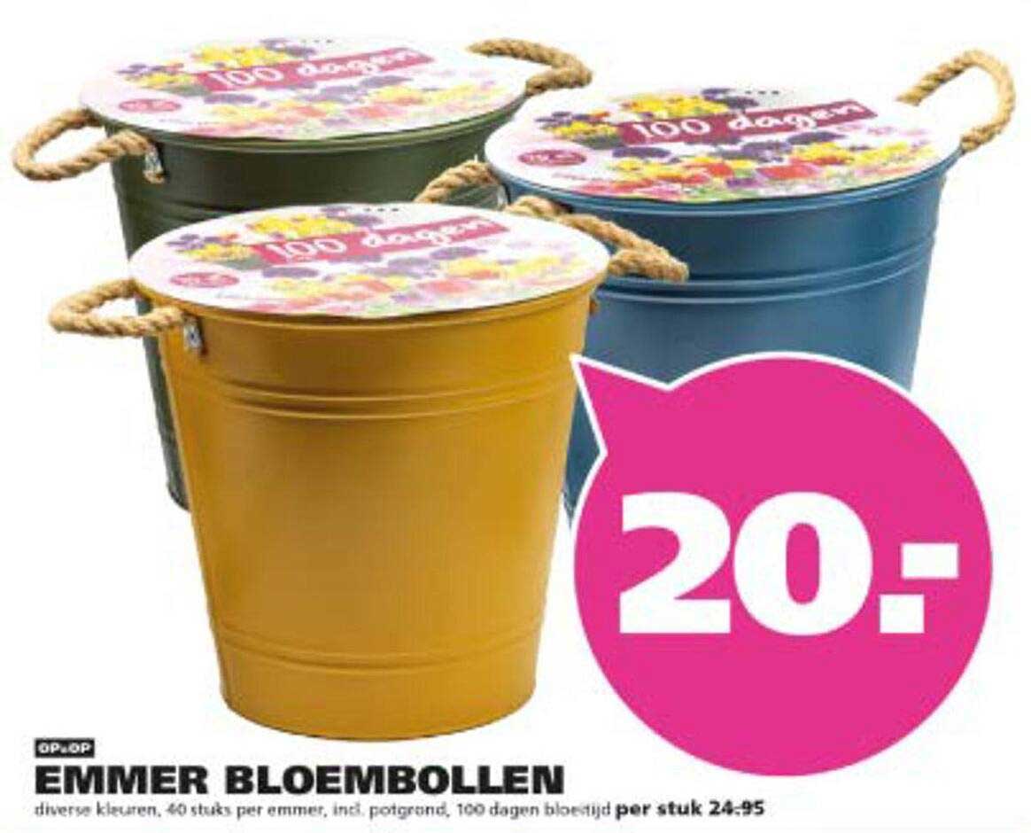 EMMER BLOEMBOLLEN