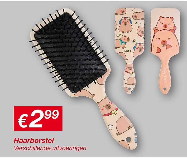 Haarborstel Verschillende uitvoeringen