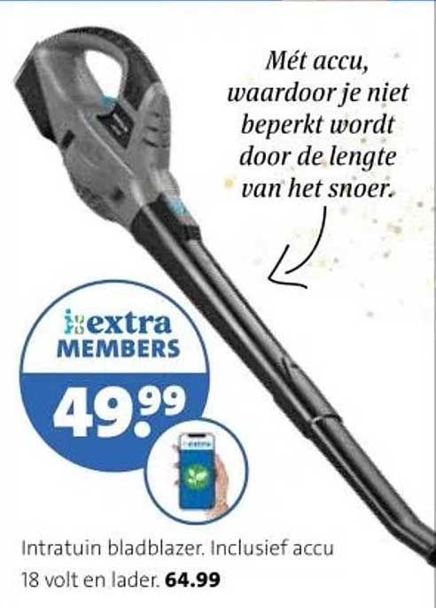Intratuin bladblazer. Inclusief accu 18 volt en lader.