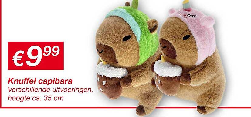 Knuffel capibara