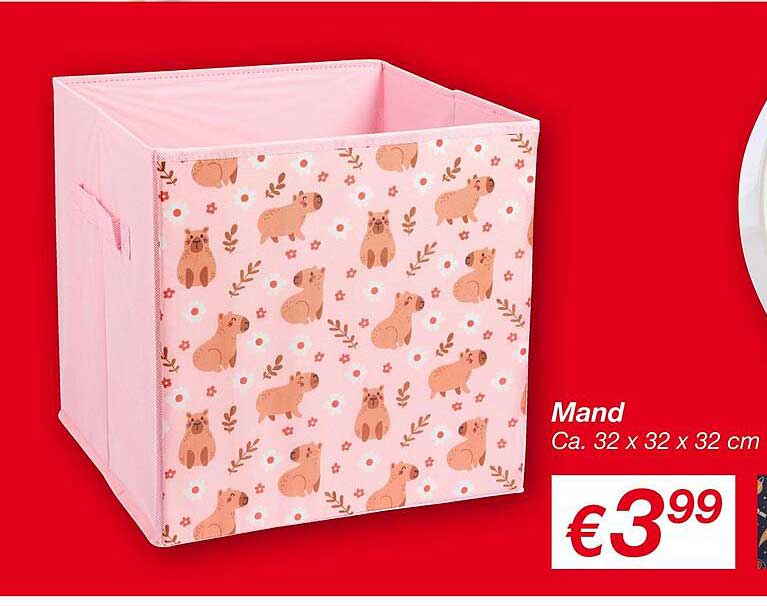 Mand