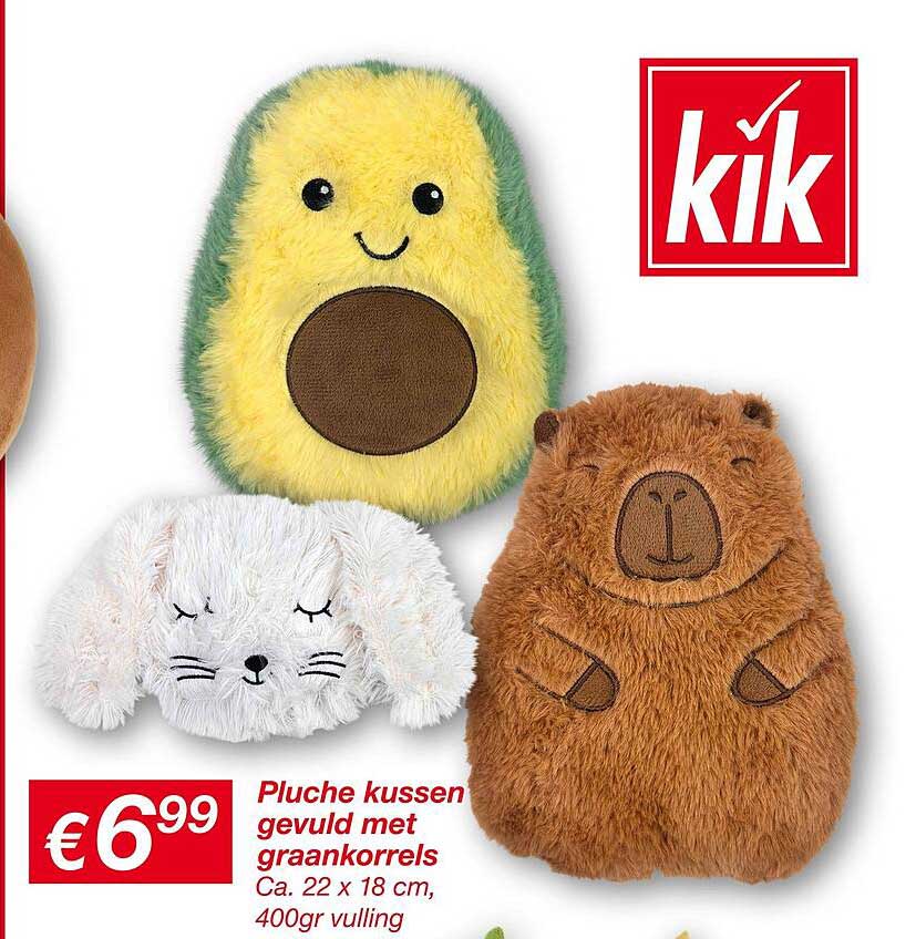 Pluche kussen gevuld met graankorrels