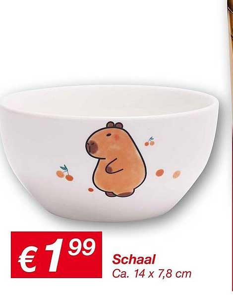 Schaal