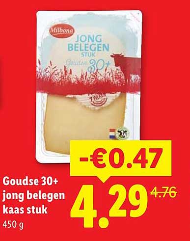 Goudse 30+ jong belegen kaas stuk 450 g