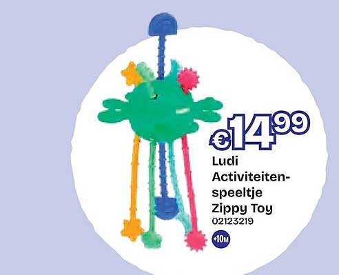 Ludi Activiteiten-speeltje Zippy Toy
