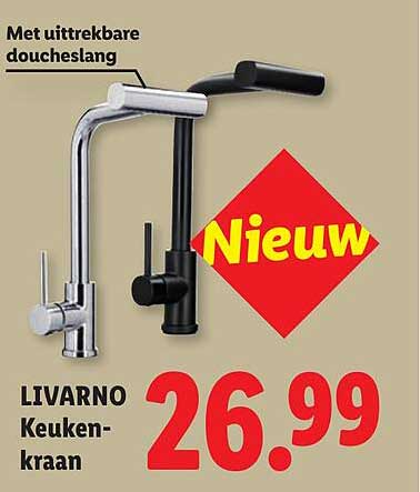 Met uittrekbare doucheslang LIVARNO Keuken-kraan Nieuw