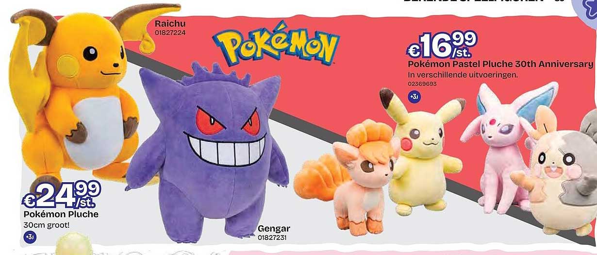 Pokémon Pluche 30cm groot!