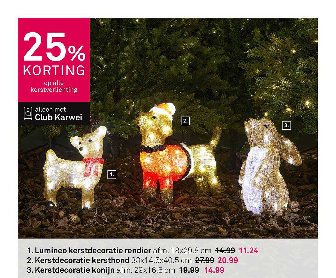 25% KORTING op alle kerstverlichting