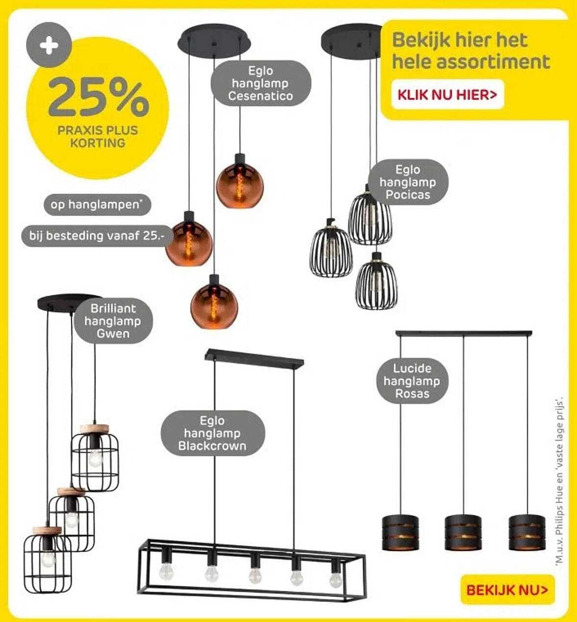 25% PRAXIS PLUS KORTING op hanglampen bij besteding vanaf 25,-