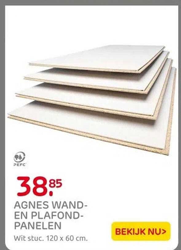 AGNES WAND- EN PLAFOND-PANENLEN