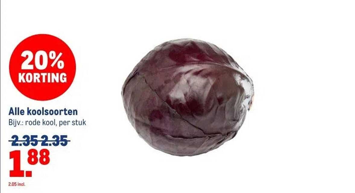 Alle koolsoorten Bijv.: rode kool, per stuk