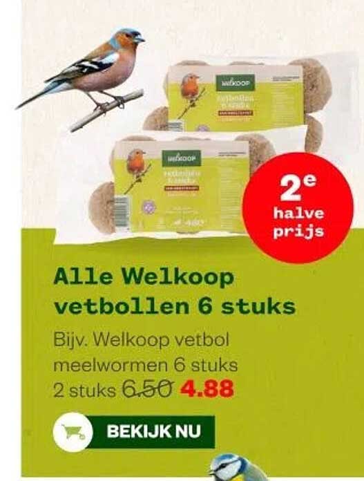Alle Welkoop vetbollen 6 stuks