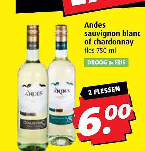 Andes sauvignon blanc of chardonnay fles 750 ml