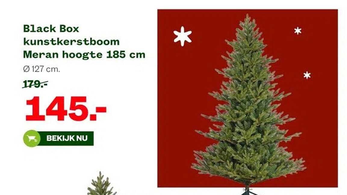Black Box kunstkerstboom Meran hoogte 185 cm
