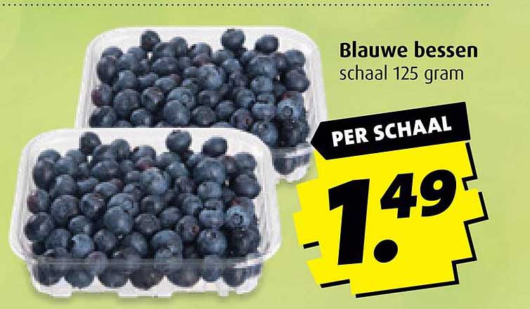 Blauwe bessen schaal 125 gram