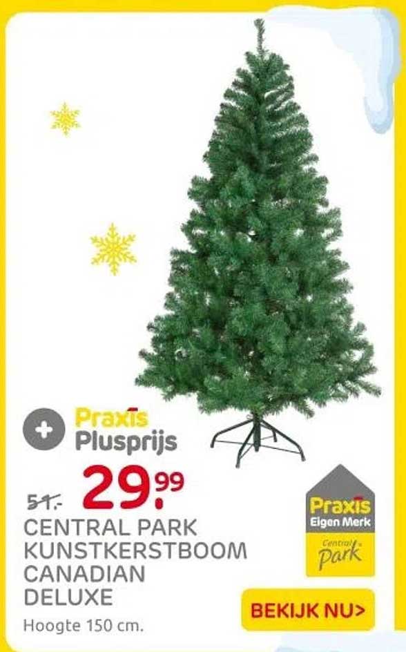 CENTRAL PARK KUNSTKERSTBOOM CANADIAN DELUXE