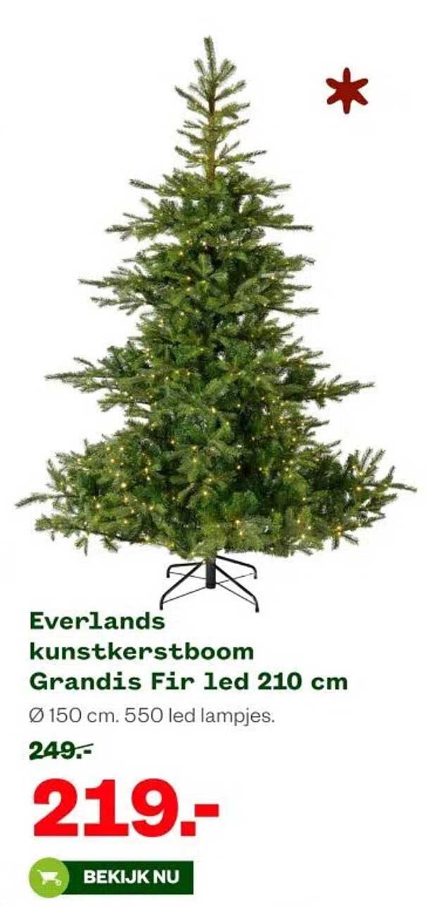 Everlands kunstkerstboom Grandis Fir led 210 cm
