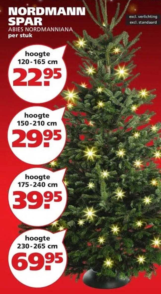 NORDMANN SPAR ABIES NORDMANNIANA per stuk