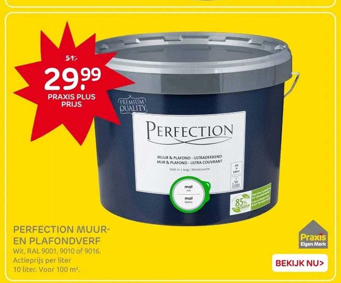 PERFECTION MUUR- EN PLAFONDVERF
