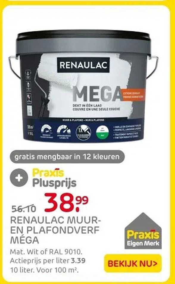 RENAULAC MUUR- EN PLAFONDVERF MÉGA