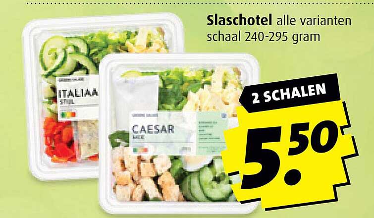 Slaschotel alle varianten schaal 240-295 gram