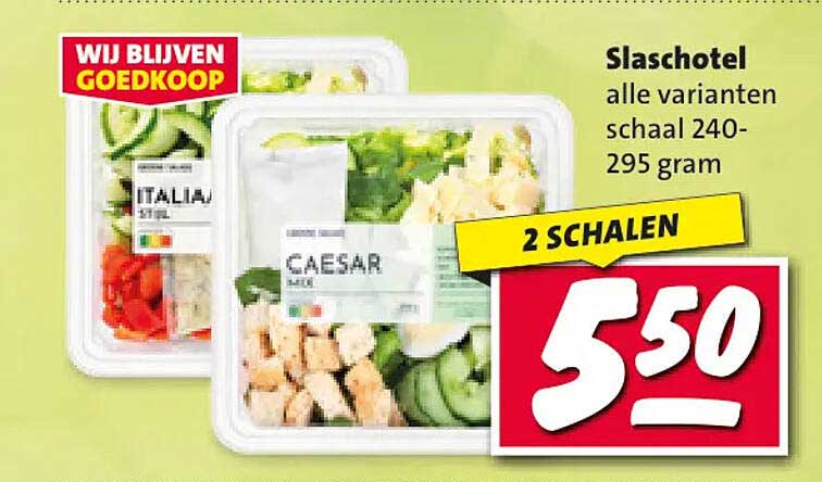 Slaschotel allemaal varianten schaal 240-295 gram