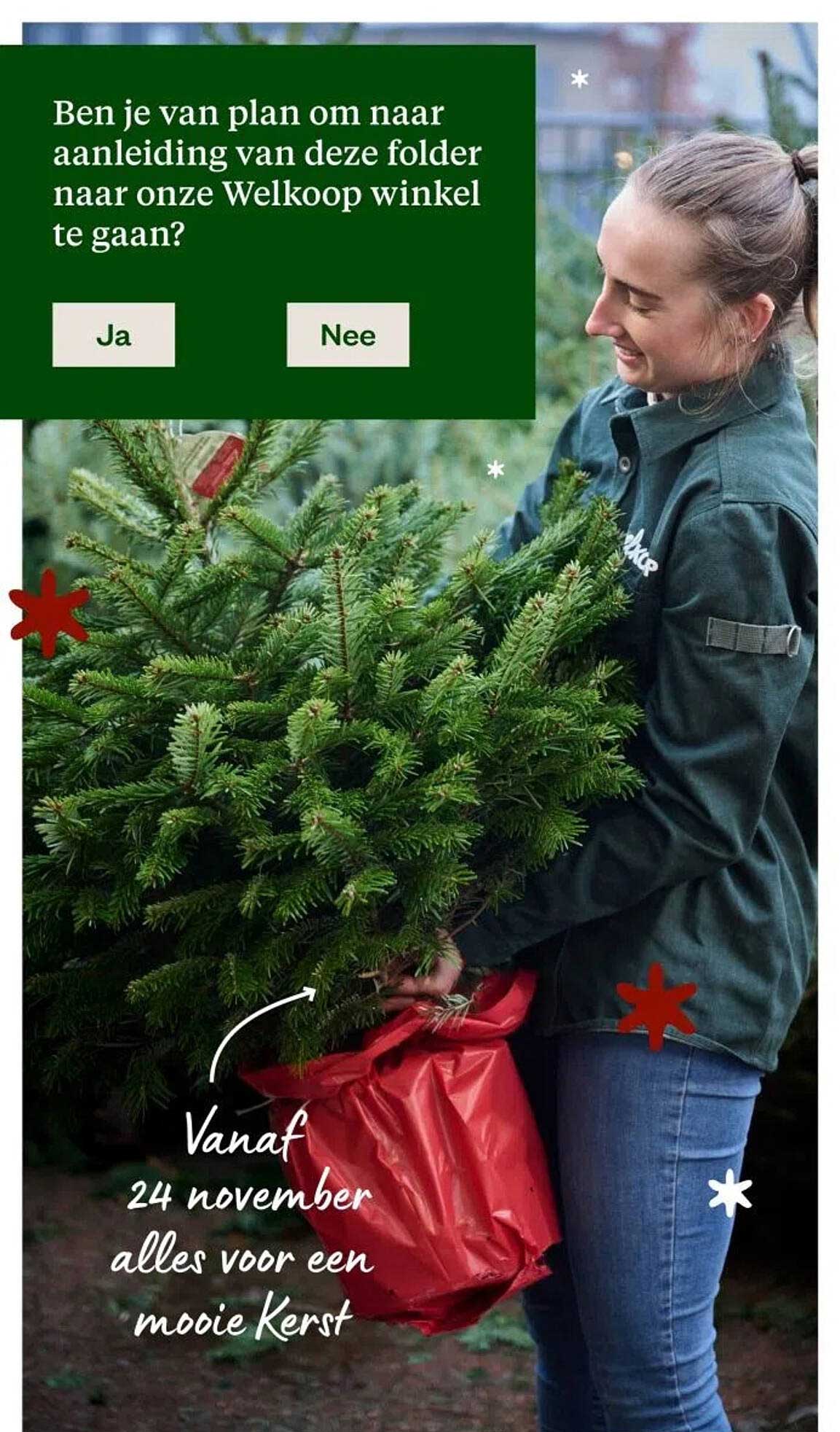 Vanaf 24 november alles voor een mooie Kerst