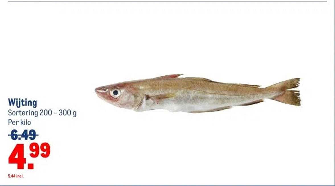 Wijting Sortering 200 - 300 g Per kilo