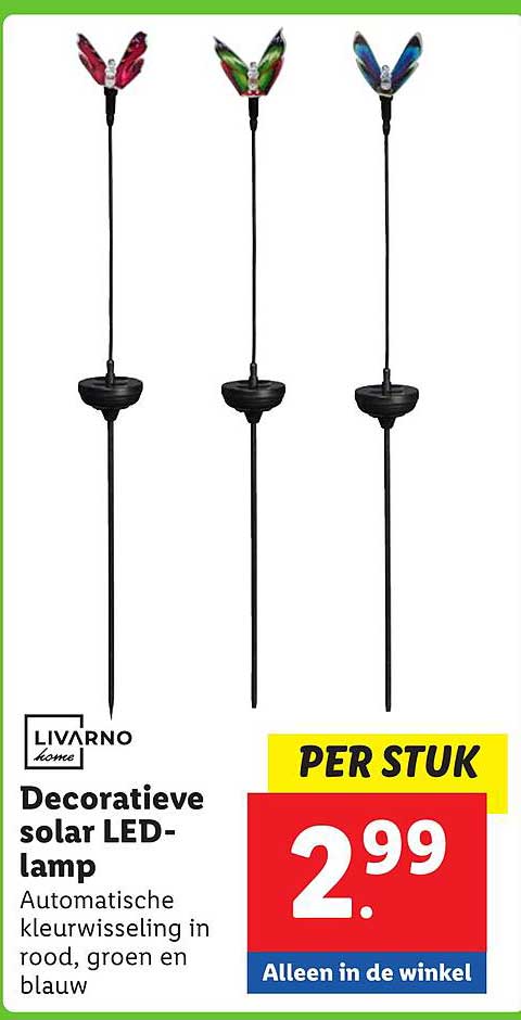 Decoratieve solar LED-lamp
