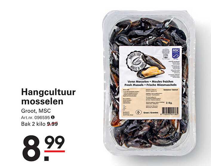 Hangcultuur mosselen