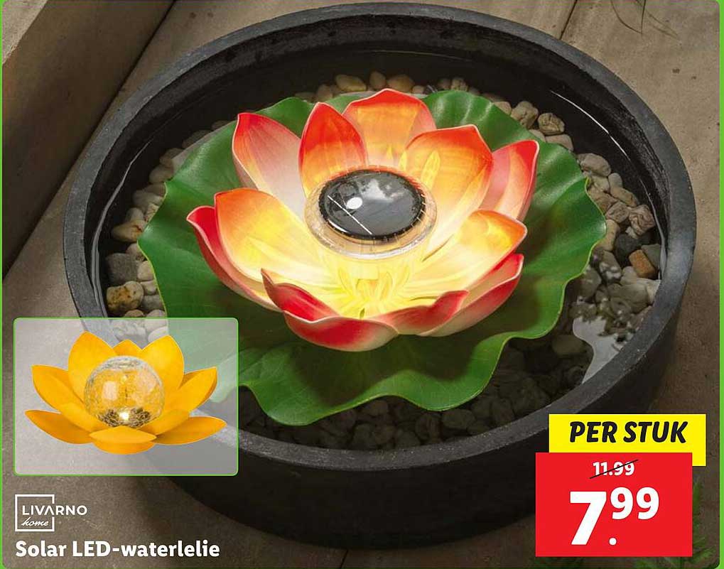 Solar LED-waterlelie