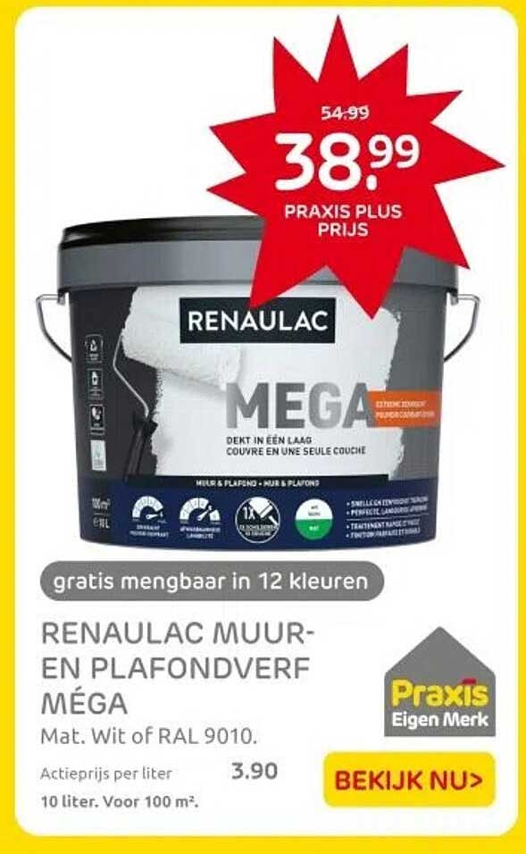 RENAULAC MUUR- EN PLAFONDVERF MÉGA