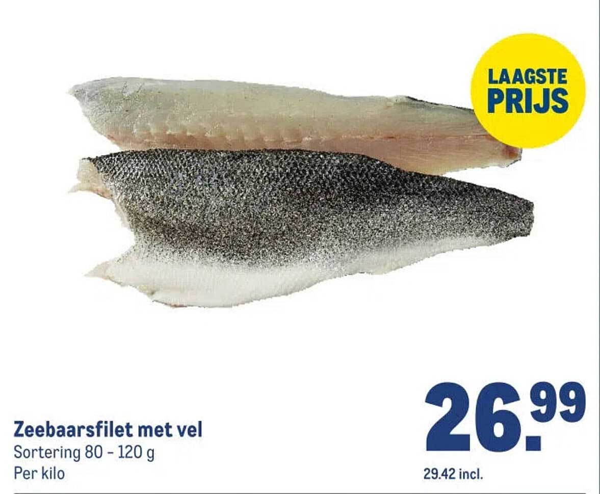 Zeebaarsfilet met vel