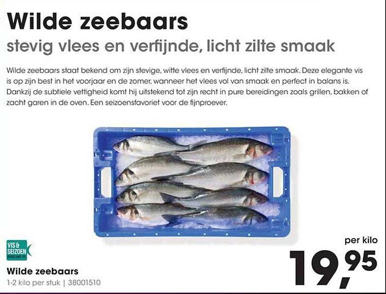 Wilde zeebaars