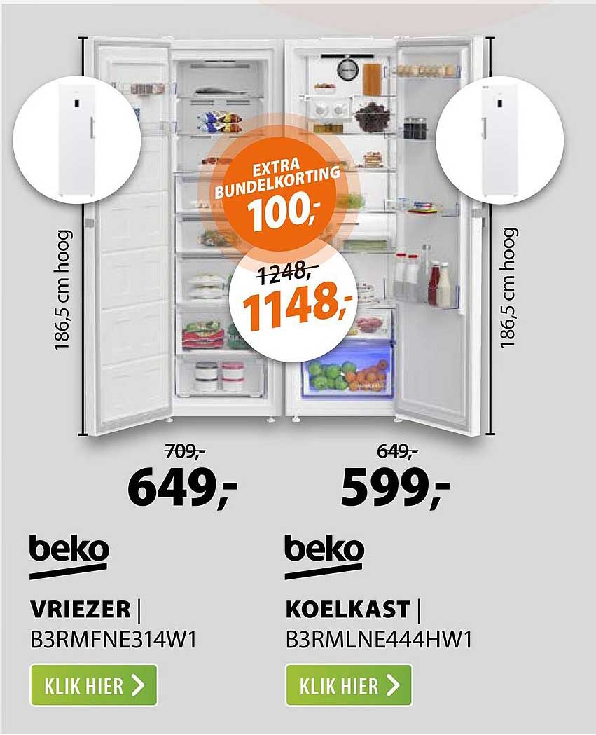 beko VRIEZER B3RMFNE314W1