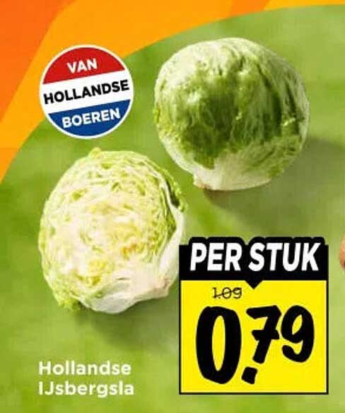 Hollandse IJsbergsla PER STUK