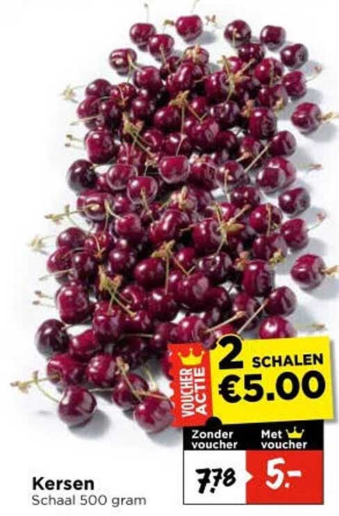 Kersen Schaal 500 gram 2 SCHALEN €5.00