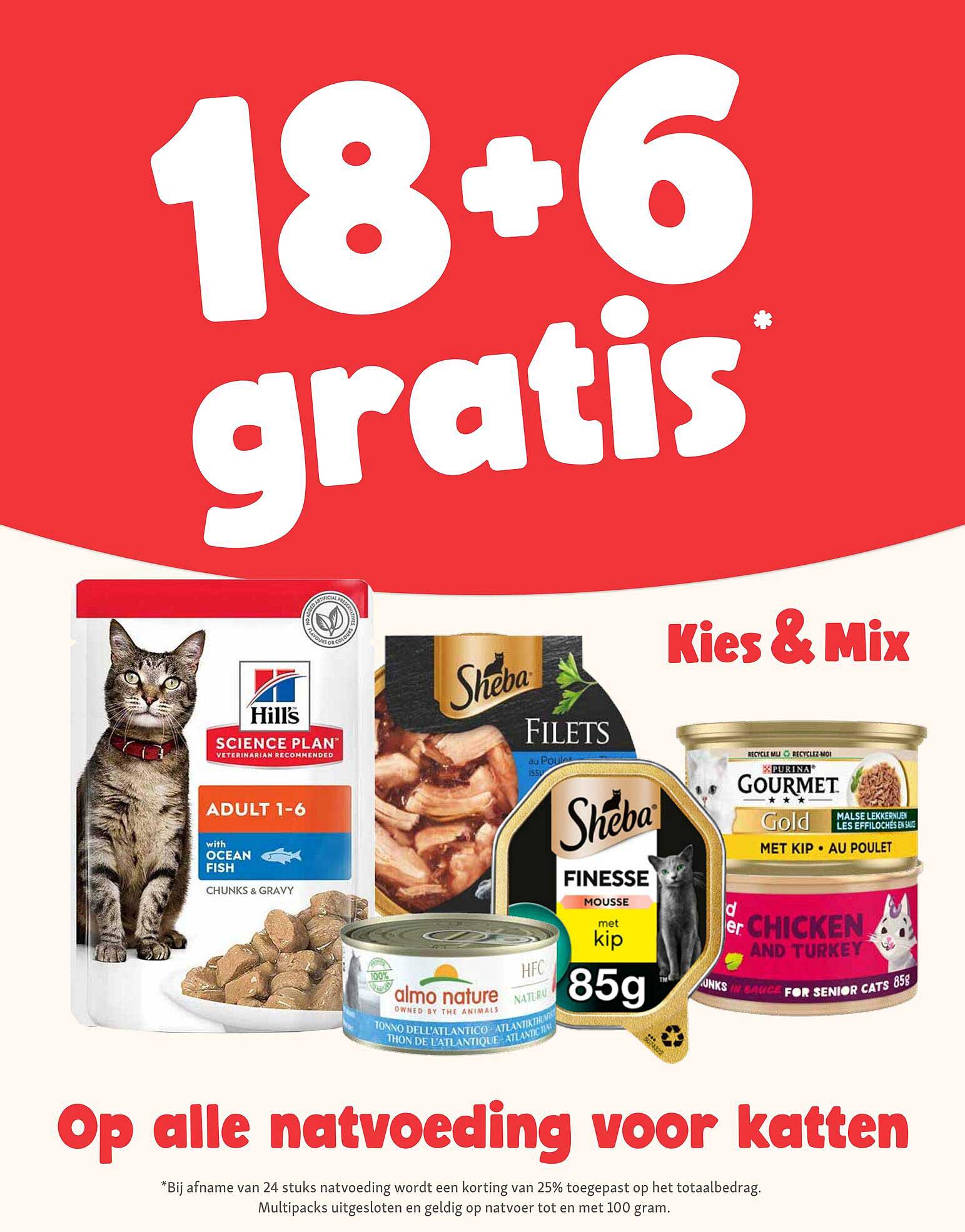 18+6 gratis