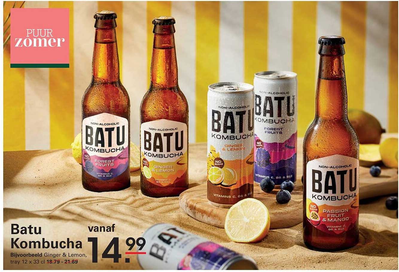 Batu Kombucha