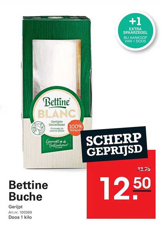 Bettine Buche